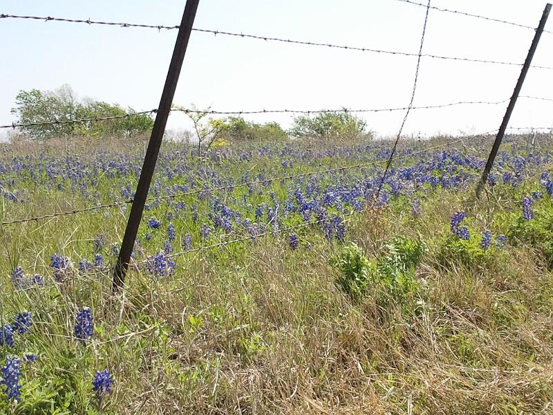 2013-04-14 11.21.34.jpg